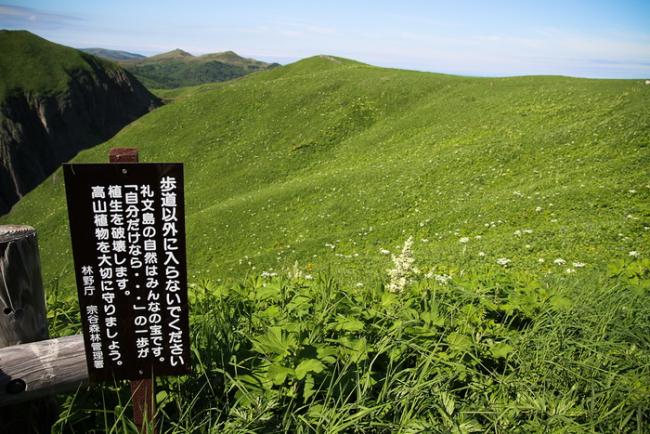 RESIZE-58_resize.jpg